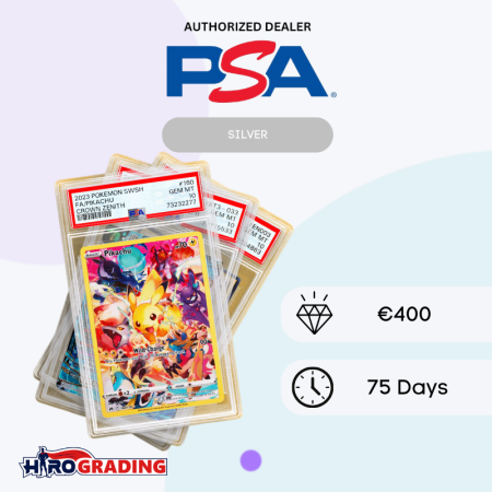 Home 30 PSA Silver Service BACKUP