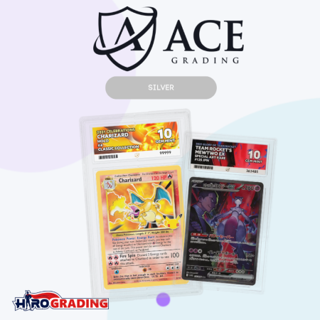 Ace Silver Service